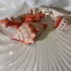 IMG_E0747 Red coral shell plate