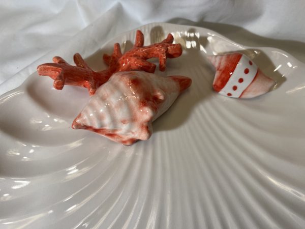 IMG_E0747 Red coral shell plate