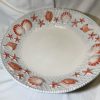 XXL red shell bowl