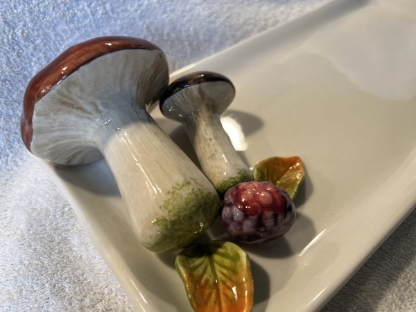 Medium mushroom napkin plate