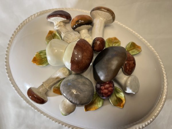 Mushroom terrine