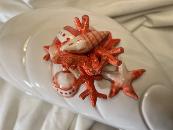 IMG_E0669 Large mussel tureen red coral
