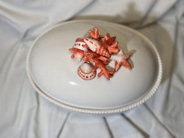Red coral terrine