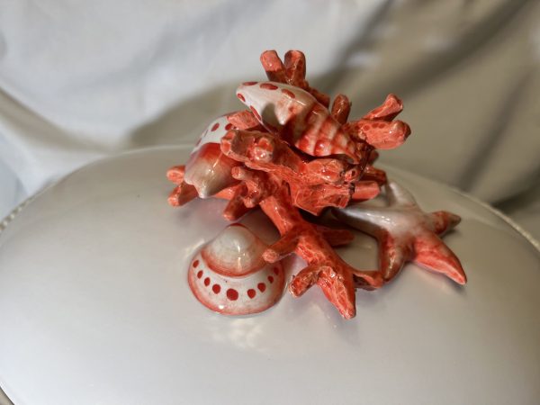 Red coral terrine