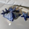 Round blue coral plate