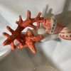 Large red coral bowl
