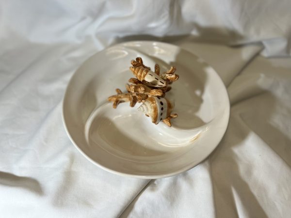IMG_E0760 Beige coral appetizer plate