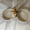 Seashells double bowl beige coral