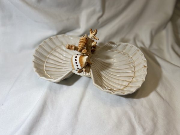 Seashells double bowl beige coral