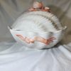 Seashell scampi tureen