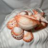 Seashell scampi tureen