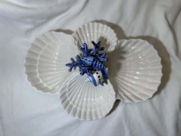 IMG_E0943 Seashells quadruple bowl blue coral