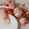 Large red coral snack platter