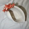 Coral seashell bowl
