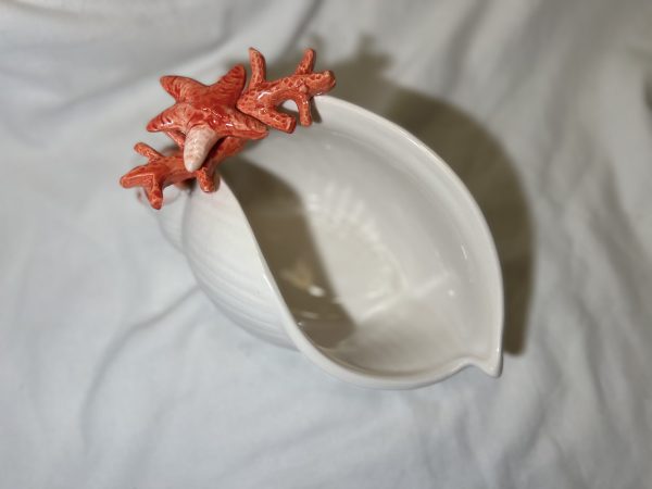 Coral seashell bowl