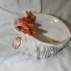 Coral seashell bowl
