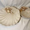 Medium beige coral plate