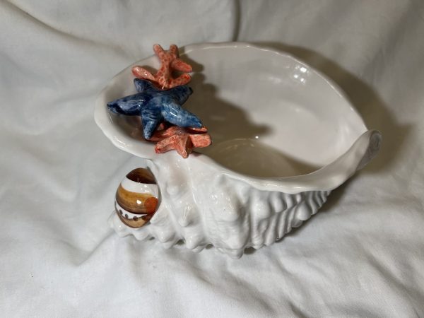 Seashell bowl coral