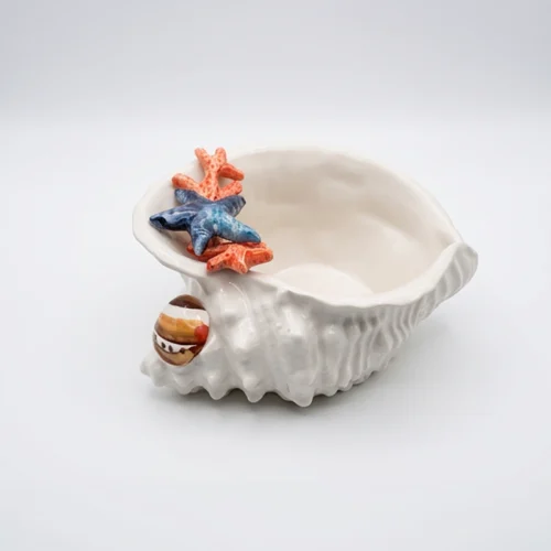 Seashell bowl coral