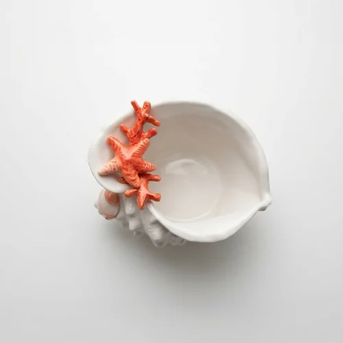 Coral seashell bowl