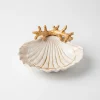 Seashell bowl beige coral
