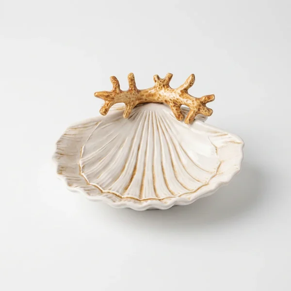 Seashell bowl beige coral