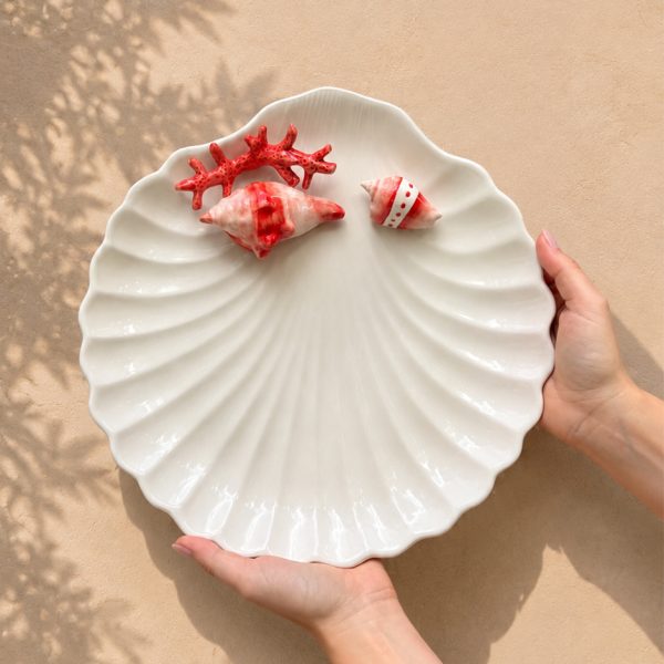 Red coral shell plate